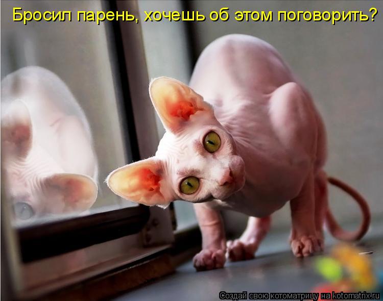 Котоматрица: Бросил парень, хочешь об этом поговорить?