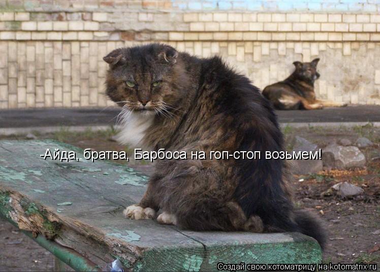 Котоматрица: -Айда, братва, Барбоса на гоп-стоп возьмем!