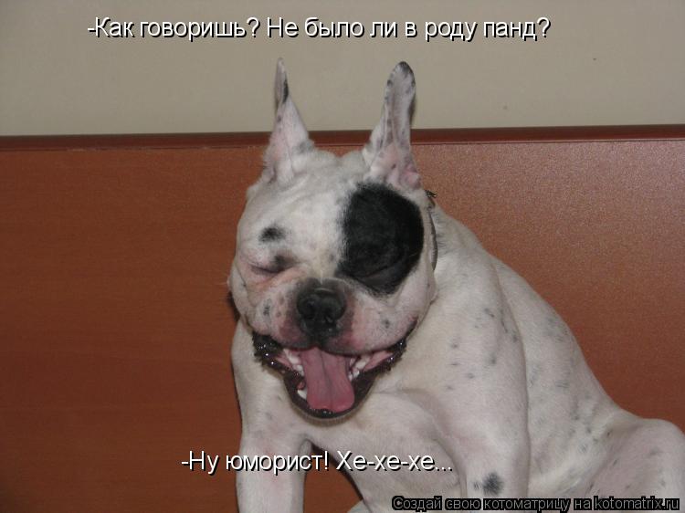 Котоматрица: -Как говоришь? Не было ли в роду панд? -Ну юморист! Хе-хе-хе...