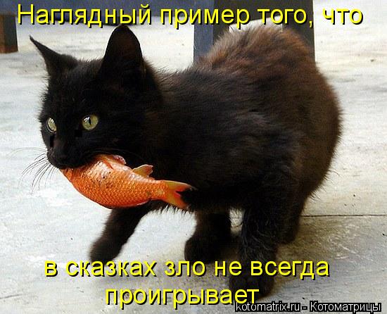 Котоматрица: Наглядный пример того, что в сказках зло не всегда  проигрывает