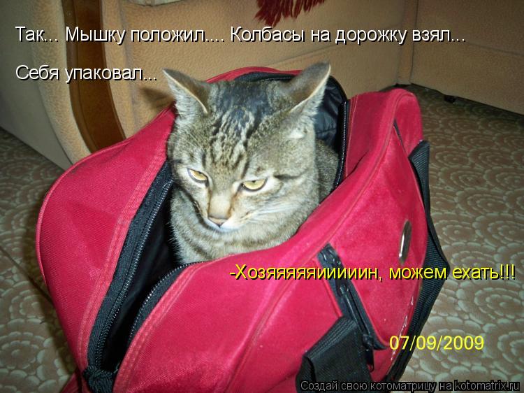 Котоматрица: Так... Мышку положил.... Колбасы на дорожку взял...  Себя упаковал... -Хозяяяяяииииин, можем ехать!!!