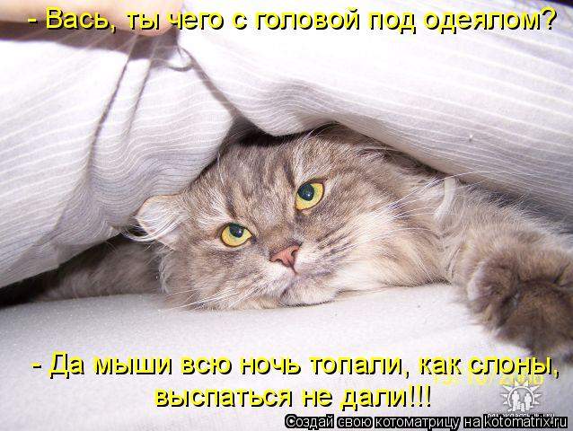 Котоматрица: - Вась, ты чего с головой под одеялом?  - Да мыши всю ночь топали, как слоны,  выспаться не дали!!!