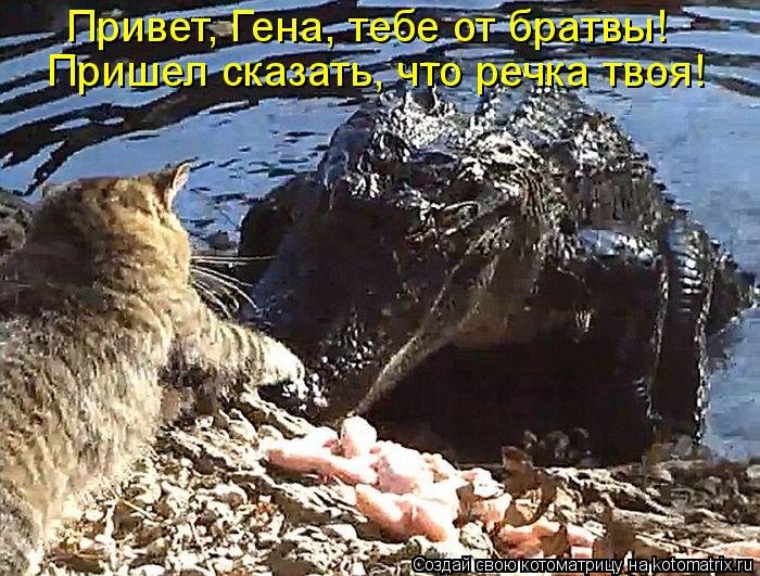 Котоматрица: Привет, Гена, тебе от братвы! Пришел сказать, что речка твоя!