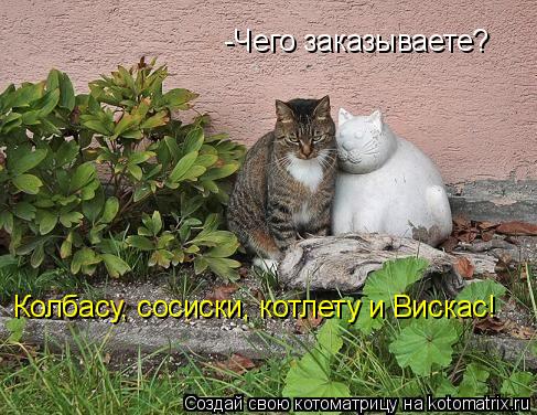 Котоматрица: -Чего заказываете? Колбасу, сосиски, котлету и Вискас!