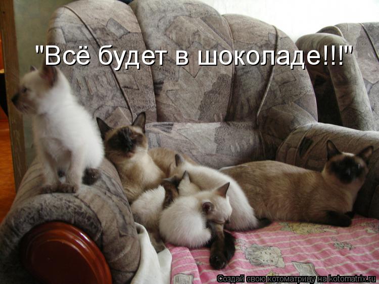 Котоматрица: "Всё будет в шоколаде!!!"