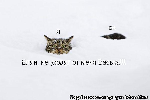 Котоматрица: Блин, не уходит от меня Васька!!! я он