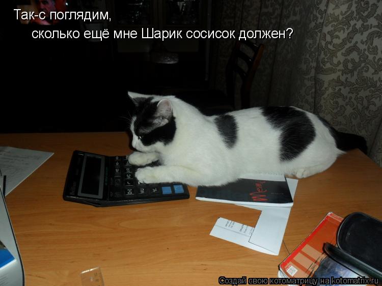Котоматрица: Так-с поглядим, сколько ещё мне Шарик сосисок должен?