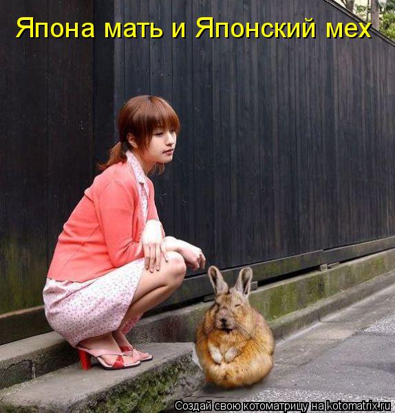 Котоматрица: Япона мать и Японский мех