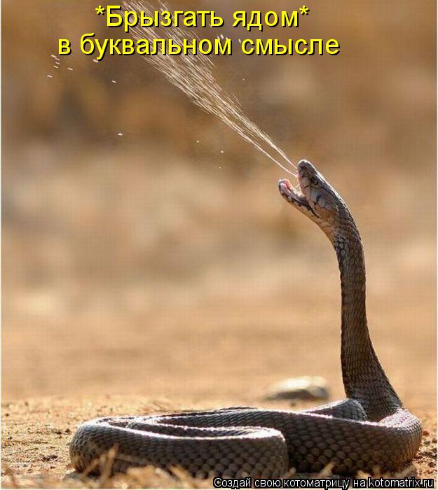 Котоматрица: *Брызгать ядом*  в буквальном смысле