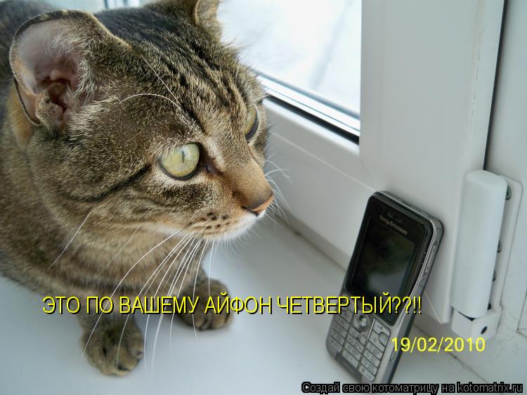 Котоматрица: ЭТО ПО ВАШЕМУ АЙФОН ЧЕТВЕРТЫЙ??!!