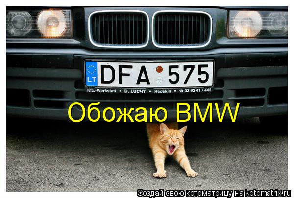 Обожаю BMW... Котоматрица: Обожаю BMW