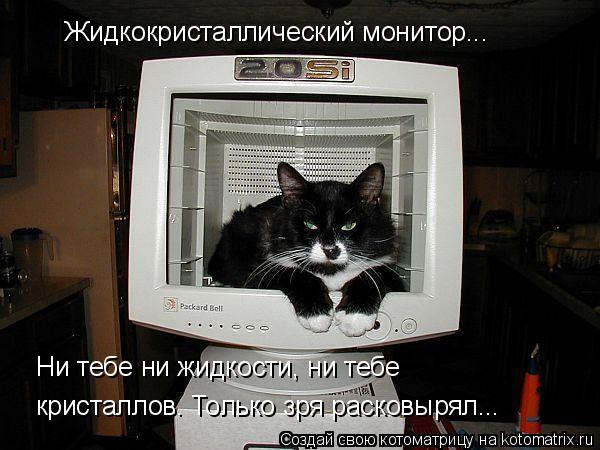 Жидкокристаллический монитор... Ни тебе ни жидкости, ни тебе кристаллов. Только зря расковырял...... Котоматрица: Жидкокристаллический монитор... Ни тебе ни жидкости, ни тебе кристаллов. Только зря расковырял...