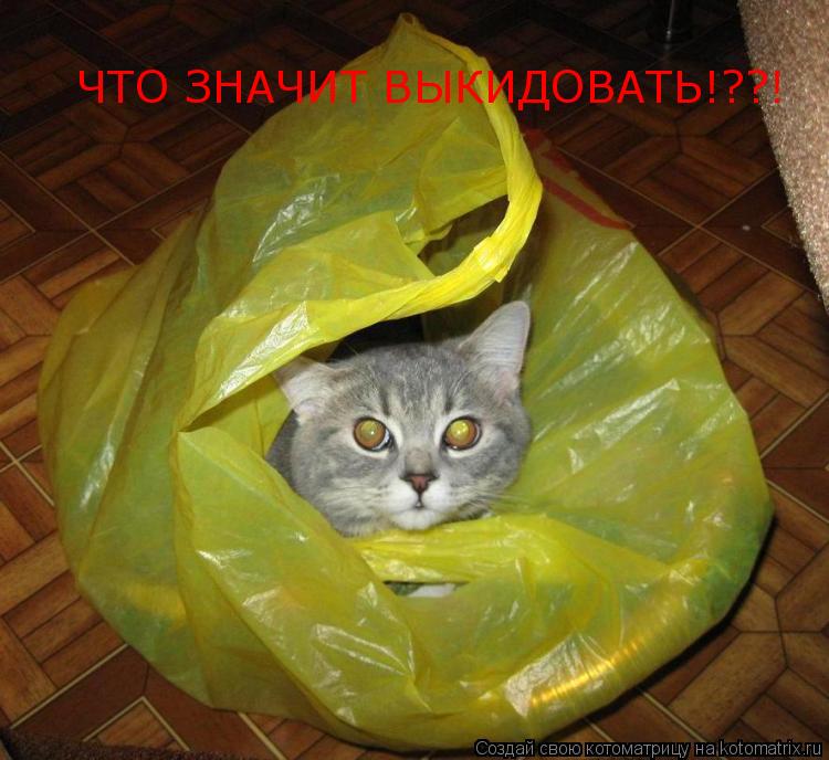 ЧТО ЗНАЧИТ ВЫКИДОВАТЬ!??!... Котоматрица: ЧТО ЗНАЧИТ ВЫКИДОВАТЬ!??!