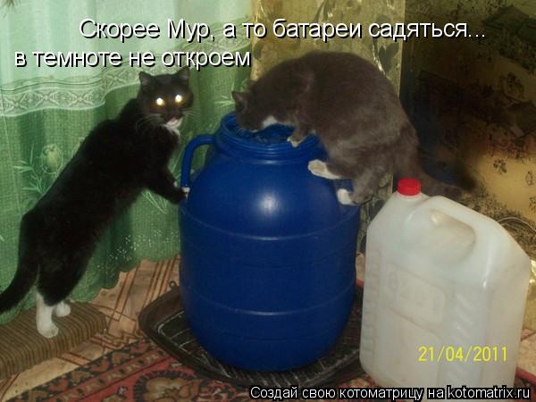 Скорее Мур, а то батареи садяться... в темноте не откроем... Котоматрица: Скорее Мур, а то батареи садяться... в темноте не откроем
