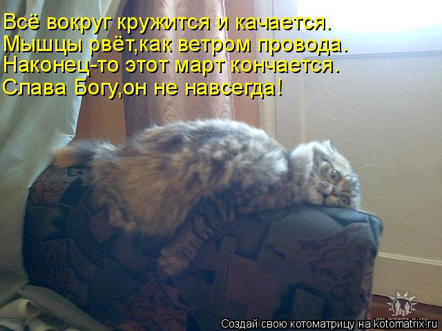 Всё вокруг кружится и качается. Мышцы рвёт,как ветром провода. Слава Богу,он не навсегда! Наконец-то ... Котоматрица: Всё вокруг кружится и качается. Мышцы рвёт,как ветром провода. Слава Богу,он не навсегда! Наконец-то этот март кончается.