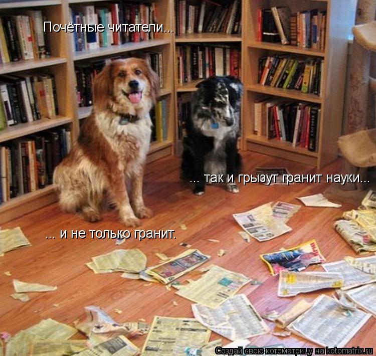 Почётные читатели... ... так и грызут гранит науки... ... и не только гранит.... Котоматрица: Почётные читатели... ... так и грызут гранит науки... ... и не только гранит.