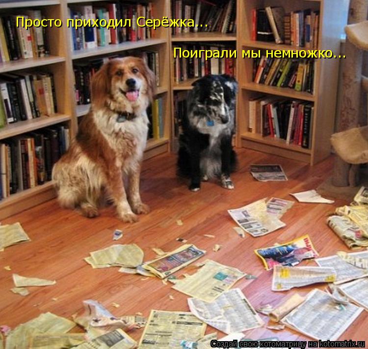 Просто приходил Сережка.... Просто приходил Серёжка... Поиграли мы немножко... Поиграли мы немножко..... Котоматрица: Просто приходил Сережка.... Просто приходил Серёжка... Поиграли мы немножко... Поиграли мы немножко...