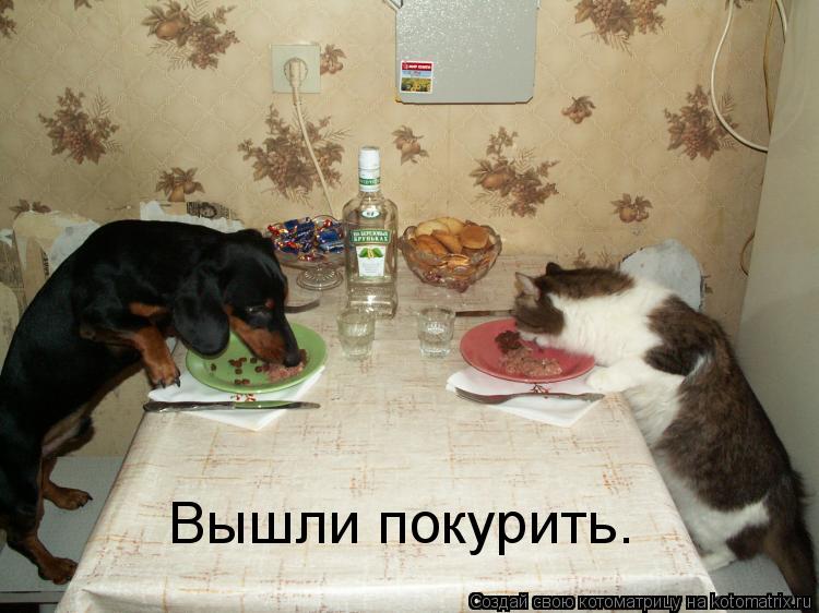 Котоматрица: Вышли покурить.