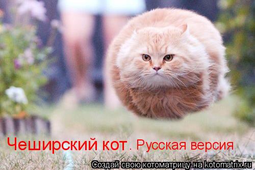 Чеширский кот . Русская версия... Котоматрица: Чеширский кот . Русская версия