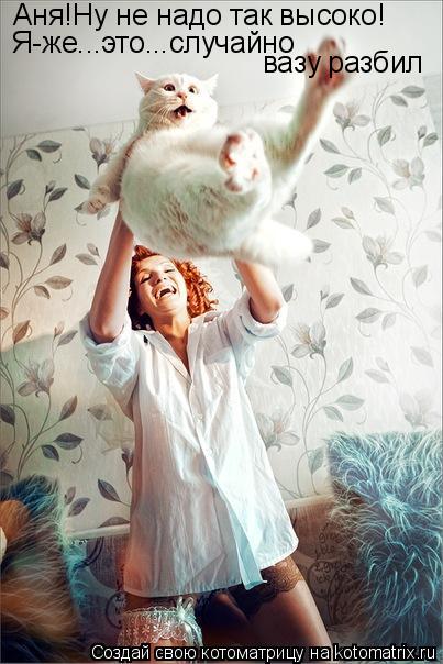 Аня!Ну не надо так высоко! Я-же...это...случайно вазу разбил... Котоматрица: Аня!Ну не надо так высоко! Я-же...это...случайно вазу разбил