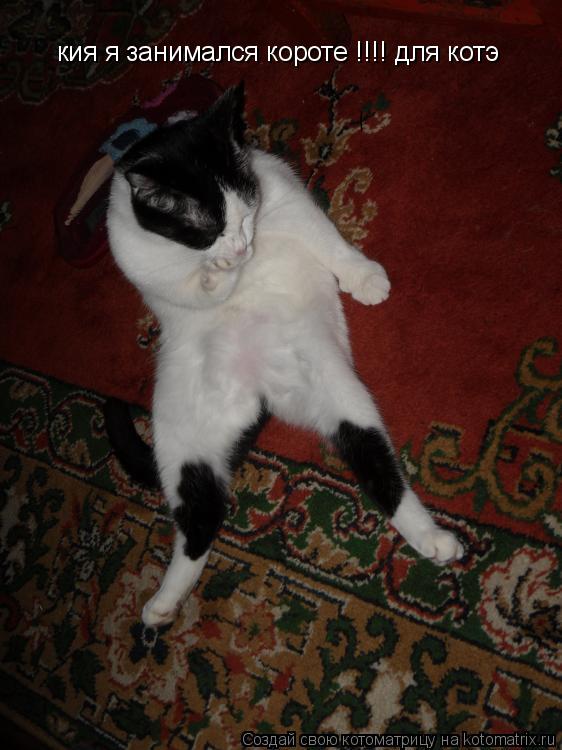 кия я занимался короте !!!! для котэ... Котоматрица: кия я занимался короте !!!! для котэ