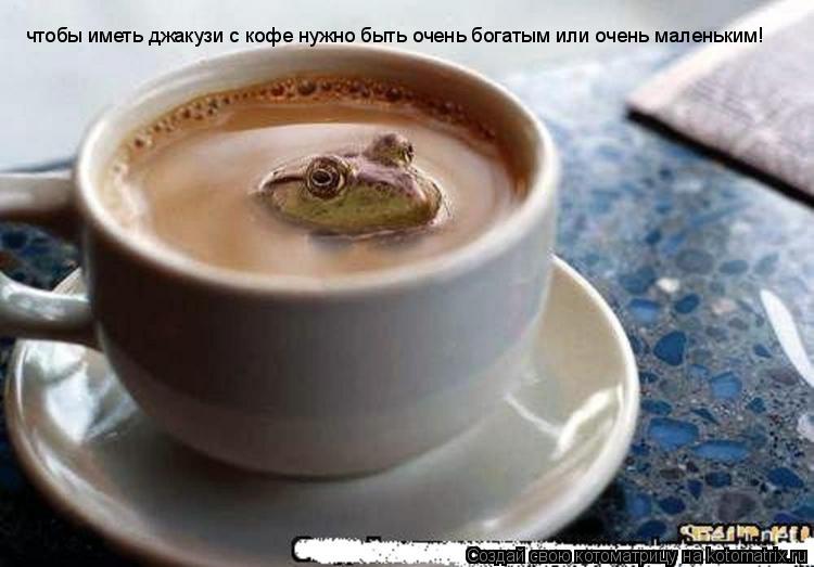 чтобы иметь джакузи с кофе нужно быть очень богатым или очень маленьким!... Котоматрица: чтобы иметь джакузи с кофе нужно быть очень богатым или очень маленьким!