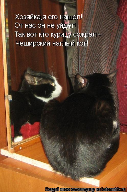 Хозяйка,я его нашёл! От нас он не уйдёт! Чеширский наглый кот! Так вот кто курицу сожрал -... Котоматрица: Хозяйка,я его нашёл! От нас он не уйдёт! Чеширский наглый кот! Так вот кто курицу сожрал -