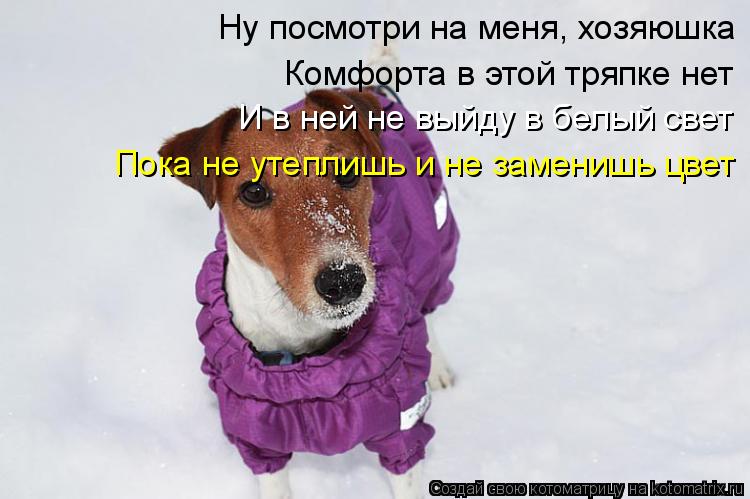 Ну посмотри на меня, хозяюшка Комфорта в этой тряпке нет И в ней не выйду в белый свет Пока не утепли... Котоматрица: Ну посмотри на меня, хозяюшка Комфорта в этой тряпке нет И в ней не выйду в белый свет Пока не утеплишь и не заменишь цвет