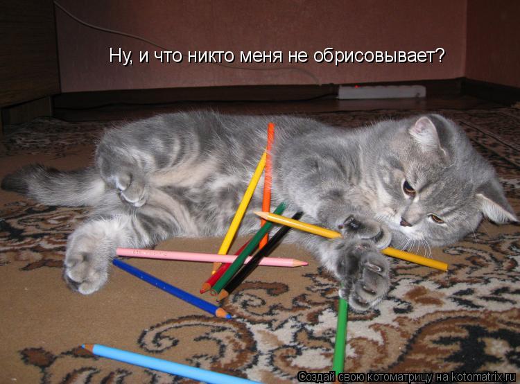 Ну, и что никто меня не обрисовывает?... Котоматрица: Ну, и что никто меня не обрисовывает?