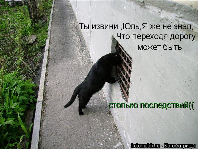 Ты извини ,Юль,Я же не знал, Что переходя дорогу может быть столько последствий((... Котоматрица: Ты извини ,Юль,Я же не знал, Что переходя дорогу может быть столько последствий((
