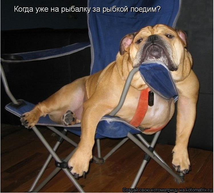 Когда уже на рыбалку за рыбкой поедим?... Котоматрица: Когда уже на рыбалку за рыбкой поедим?