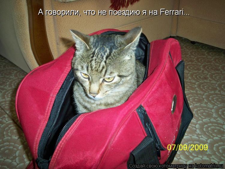 А говорили, что не поездию я на Ferrari...... Котоматрица: А говорили, что не поездию я на Ferrari...