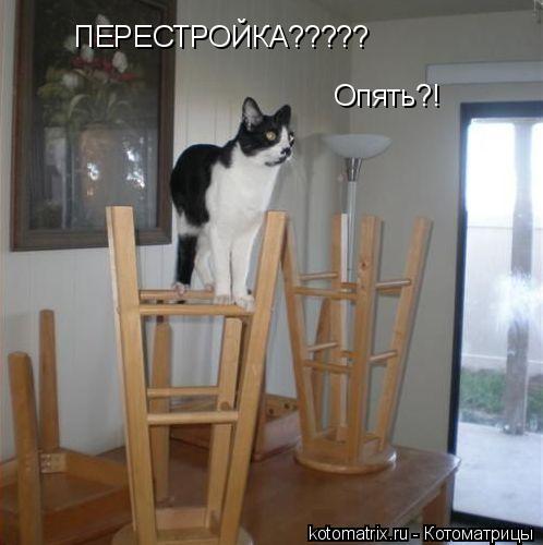 ПЕРЕСТРОЙКА????? Опять?!... Котоматрица: ПЕРЕСТРОЙКА????? Опять?!