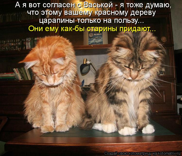 А я вот согласен с Васькой - я тоже думаю, что этому вашему красному дереву царапины только на пользу... Котоматрица: А я вот согласен с Васькой - я тоже думаю, что этому вашему красному дереву царапины только на пользу... Они ему как-бы старины придают...