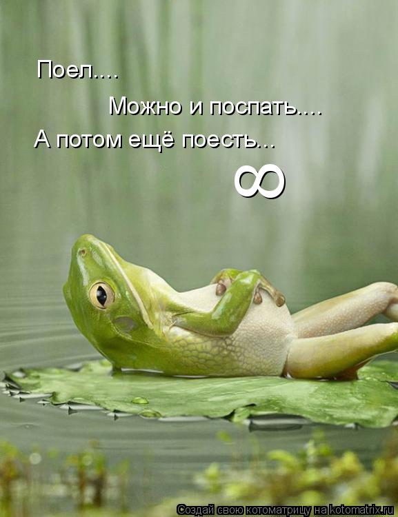 Поел.... Можно и поспать.... А потом ещё поесть... 8... Котоматрица: Поел.... Можно и поспать.... А потом ещё поесть... 8