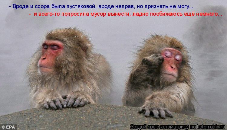 - Вроде и ссора была пустяковой, вроде неправ, но признать не могу... - и всего-то попросила мусор в... Котоматрица: - Вроде и ссора была пустяковой, вроде неправ, но признать не могу... - и всего-то попросила мусор вынести, ладно пообижаюсь ещё немного...