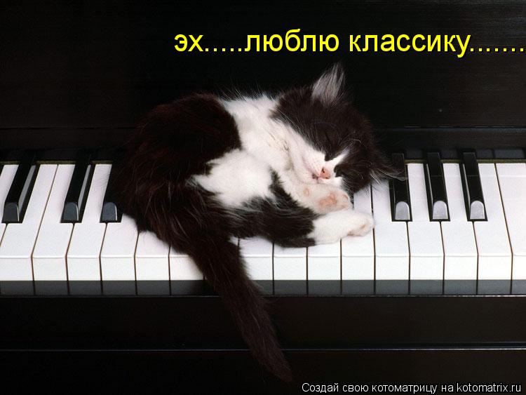 эх.....люблю классику.......... Котоматрица: эх.....люблю классику.......
