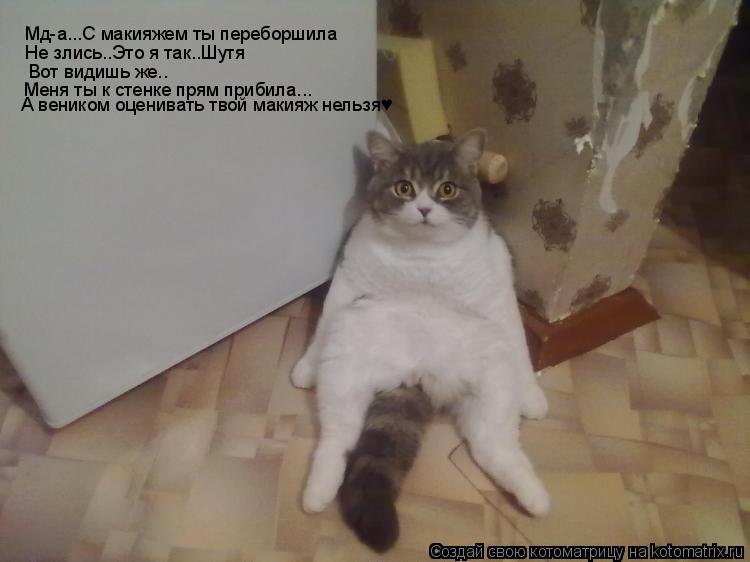 Мд-а...С макияжем ты переборшила Не злись..Это я так..Шутя Вот видишь же.. Меня ты к стенке прям приб... Котоматрица: Мд-а...С макияжем ты переборшила Не злись..Это я так..Шутя Вот видишь же.. Меня ты к стенке прям прибила... А веником оценивать твой макияж нельз