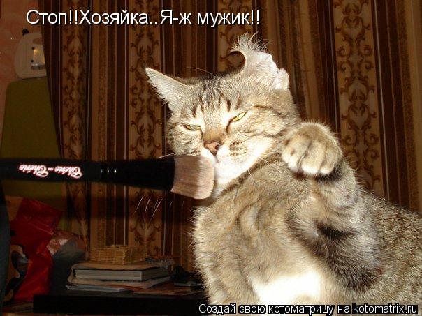 Стоп!!Хозяйка..Я-ж мужик!!... Котоматрица: Стоп!!Хозяйка..Я-ж мужик!!