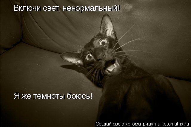 Включи свет, ненормальный! Я же темноты боюсь!... Котоматрица: Включи свет, ненормальный! Я же темноты боюсь!