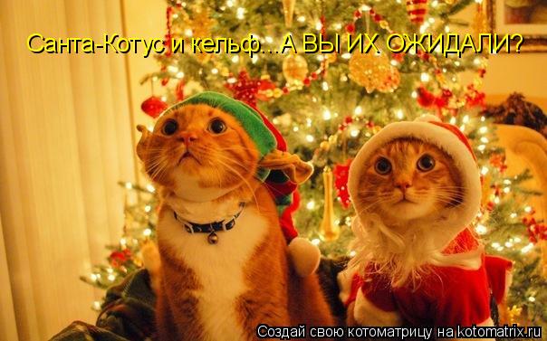 Санта-Котус и кельф...А ВЫ ИХ ОЖИДАЛИ?... Котоматрица: Санта-Котус и кельф...А ВЫ ИХ ОЖИДАЛИ?