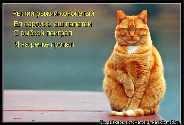 Котоматрица: Рыжий,рыжий-конопатый Ел сардины аш лапатой С рыбкой поиграл И на речке пропал