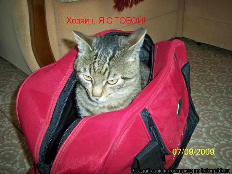 Хозяин, Я С ТОБОЙ!... Котоматрица: Хозяин, Я С ТОБОЙ!