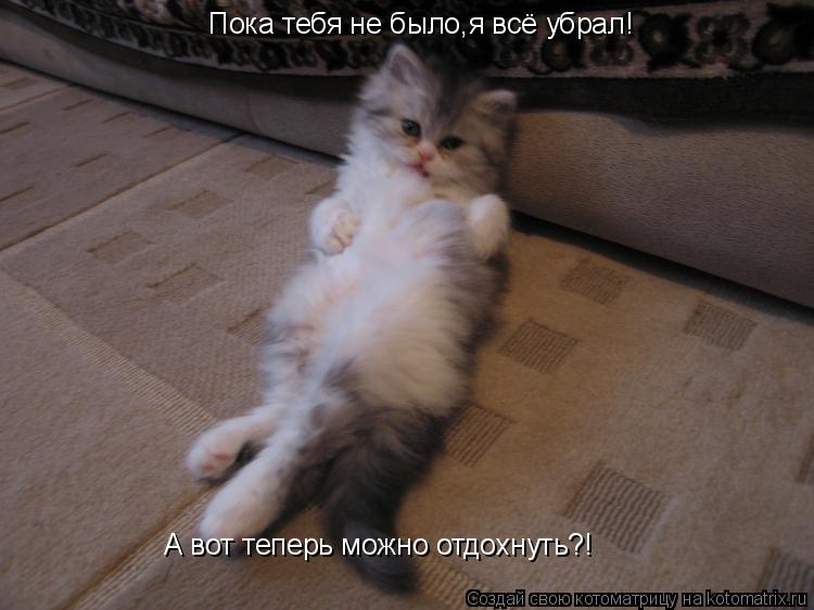 Пока тебя не было,я всё убрал! А вот теперь можно отдохнуть?!... Котоматрица: Пока тебя не было,я всё убрал! А вот теперь можно отдохнуть?!