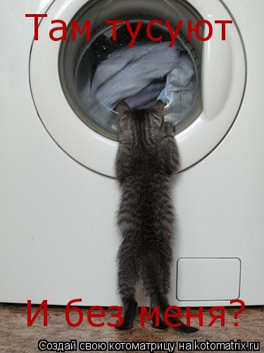 Там тусуют И без меня?... Котоматрица: Там тусуют И без меня?