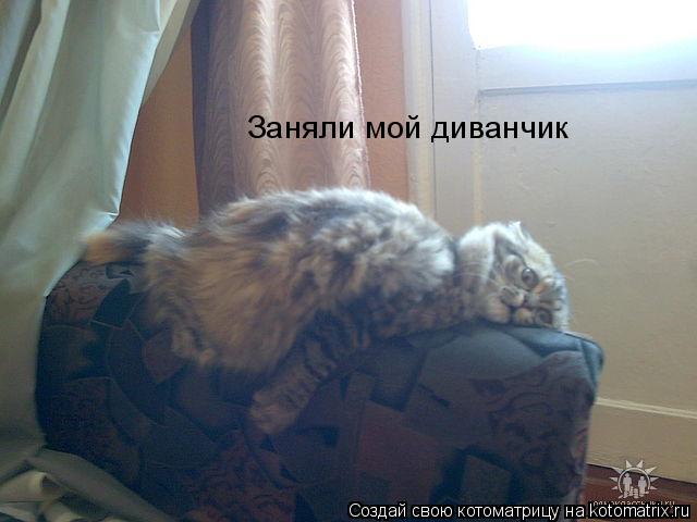 Заняли мой диванчик... Котоматрица: Заняли мой диванчик