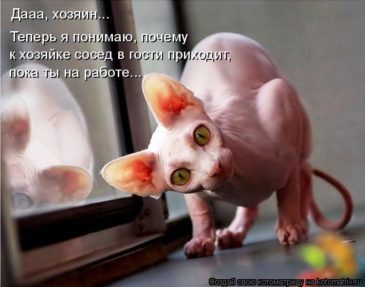 Дааа, хозяин... Теперь я понимаю, почему к хозяйке сосед в гости приходит, пока ты на работе...... Котоматрица: Дааа, хозяин... Теперь я понимаю, почему к хозяйке сосед в гости приходит, пока ты на работе...