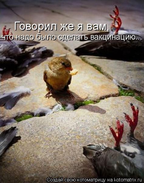 Говорил же я вам, что надо было сделать вакцинацию...... Котоматрица: Говорил же я вам, что надо было сделать вакцинацию...