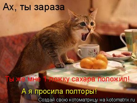 Ах, ты зараза Ты же мне 1 ложку сахара положил! А я просила полторы!... Котоматрица: Ах, ты зараза Ты же мне 1 ложку сахара положил! А я просила полторы!