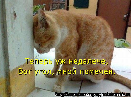 Теперь уж недалече, Вот угол, мной помечен.... Котоматрица: Теперь уж недалече, Вот угол, мной помечен.